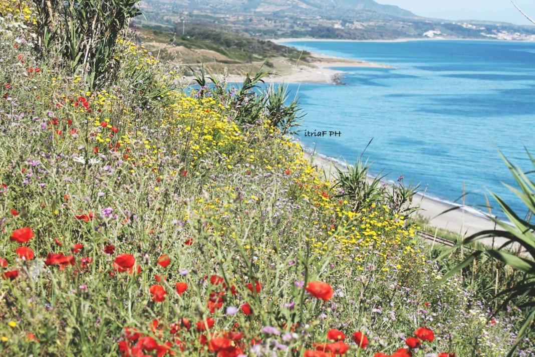 Climatizzato In Centro A 100M Dal Mare Vila Cirò Marina Exterior foto